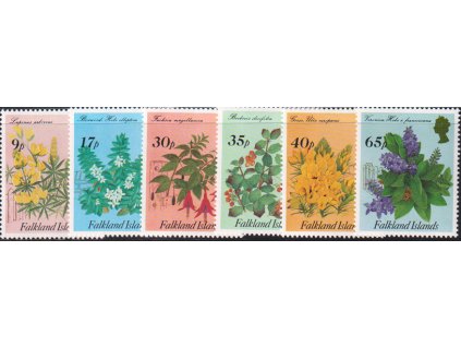 Falkland isl kvety