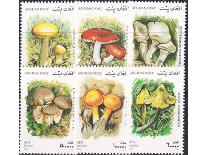 Afganistan 1951 1956