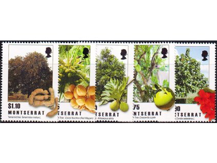 Montserrat 1481 1485