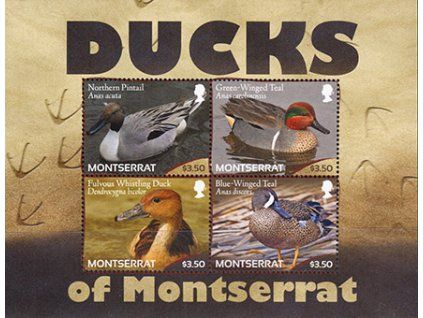 Montserrat 1599 1602