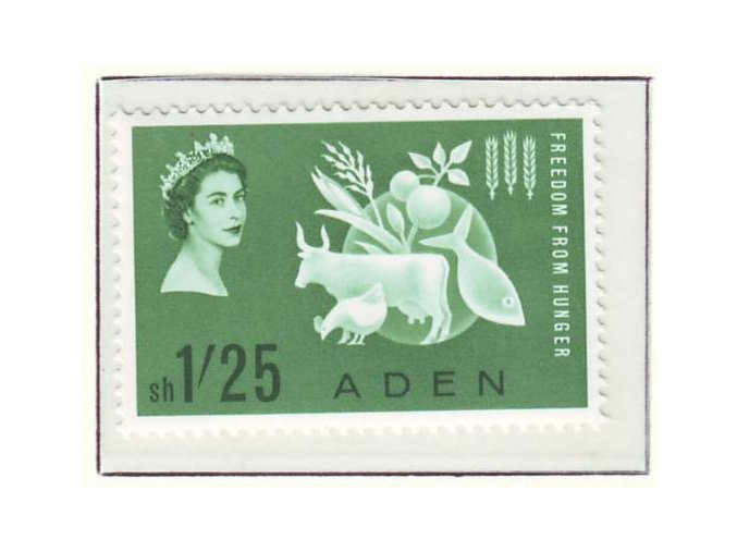 Aden 077