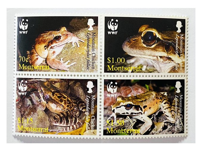 Montserrat 1335 1338