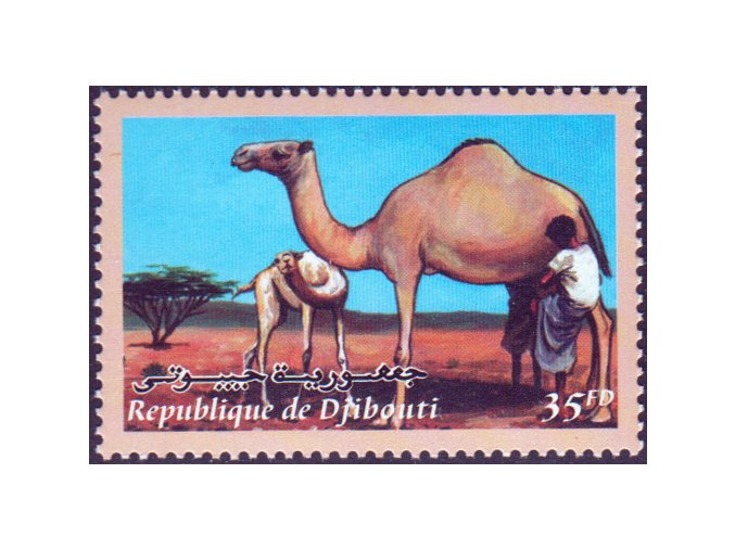 Djibouti 0771