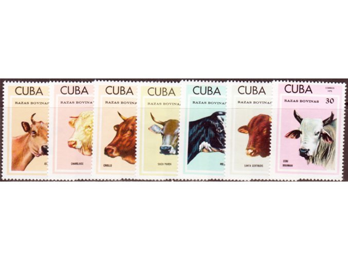 Kuba 1879 1885