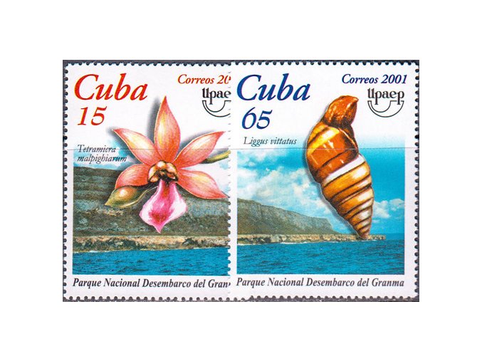 Kuba 4378 4379