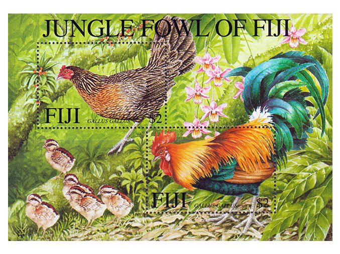 FIJI Bl 39