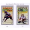 SR 2011 / 493-494 / MS v ľadovom hokeji