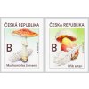 ČR 2020 / 1071-1072 / Jedovaté huby