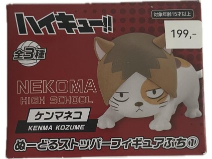 HAYKIUU - Kenma Kozume kočka