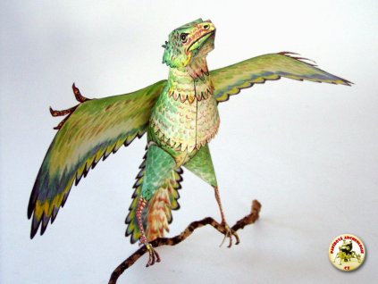 Archaeopteryx2