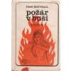 Ivan Southal Požár v buši
