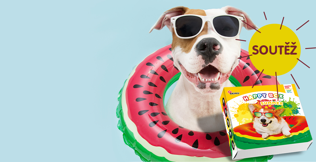 Happy Box Summer