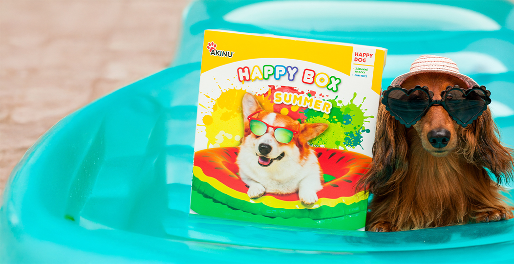 Happy Box Summer