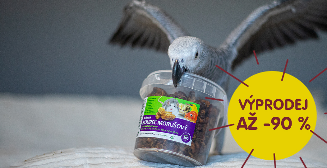 Výprodej