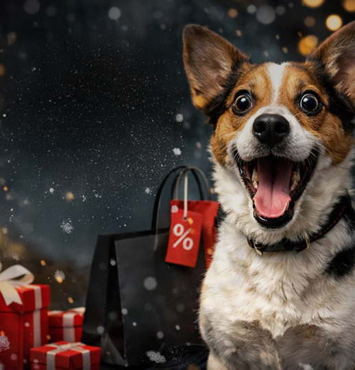 Povánoční výprodej