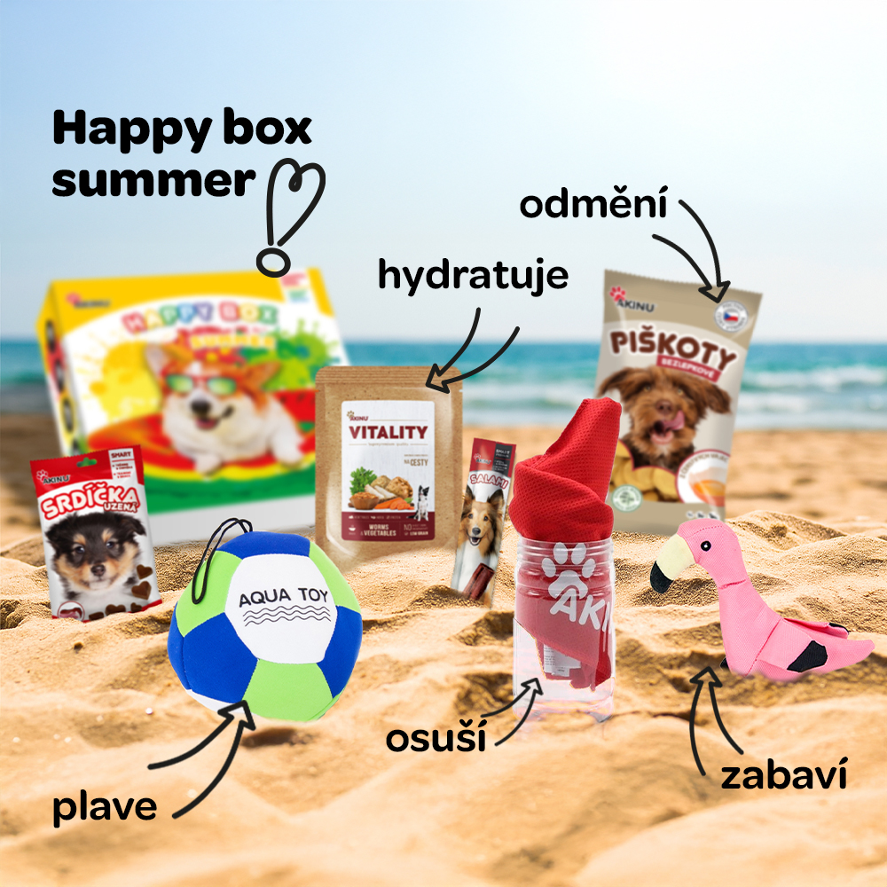 Happy box summer s položkami na písku