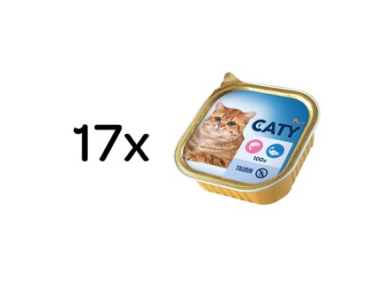 Akinu CATY Losos & pstruh paštika pro kočky 17 x 100 g