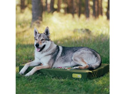 5120520f8c0d2278a59ed518eb65bc04