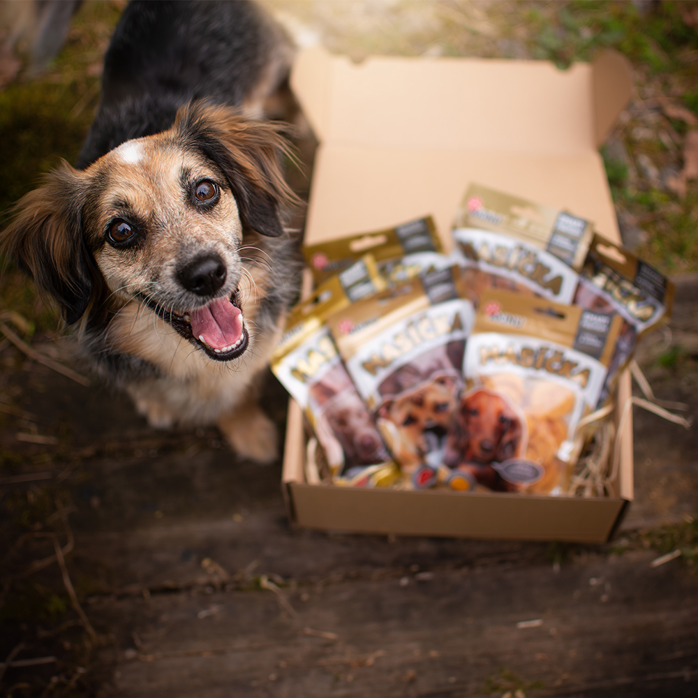 Akinu Masíčka box pro psy Obrázek