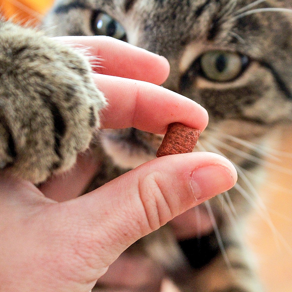 Akinu Antihairball pro kočky 50 g Obrázek