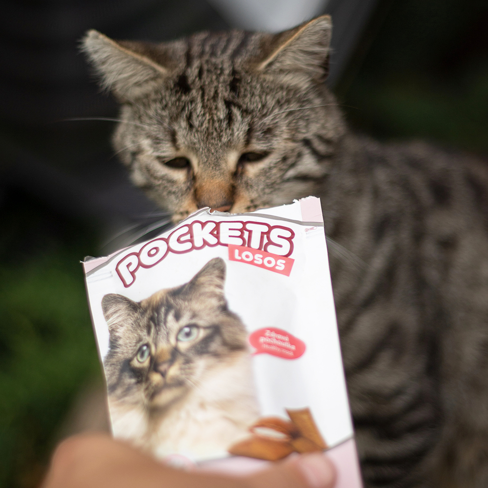 Akinu Pockets lososové polštářky pro kočky 40g Obrázek