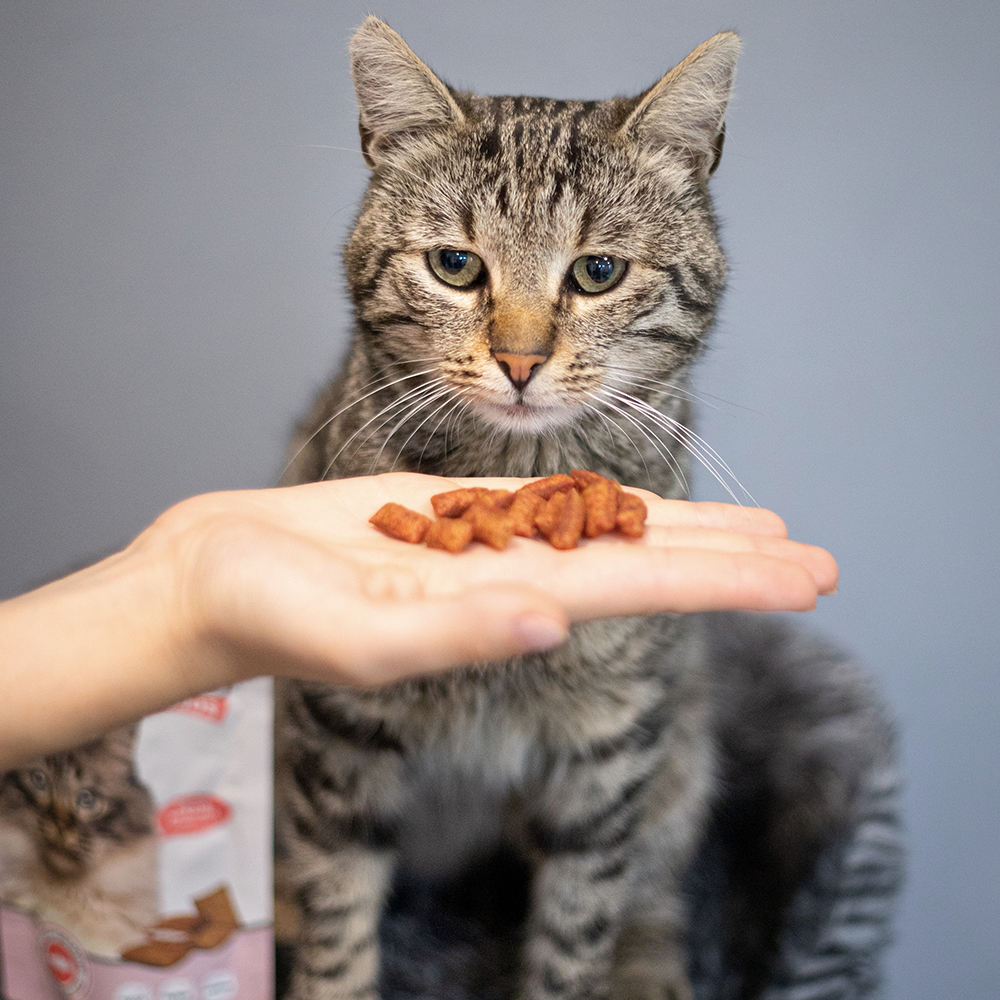 Akinu Pockets lososové polštářky pro kočky 40g Obrázek