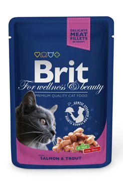 Brit Premium Cat kapsa with Salmon & Trout 100g