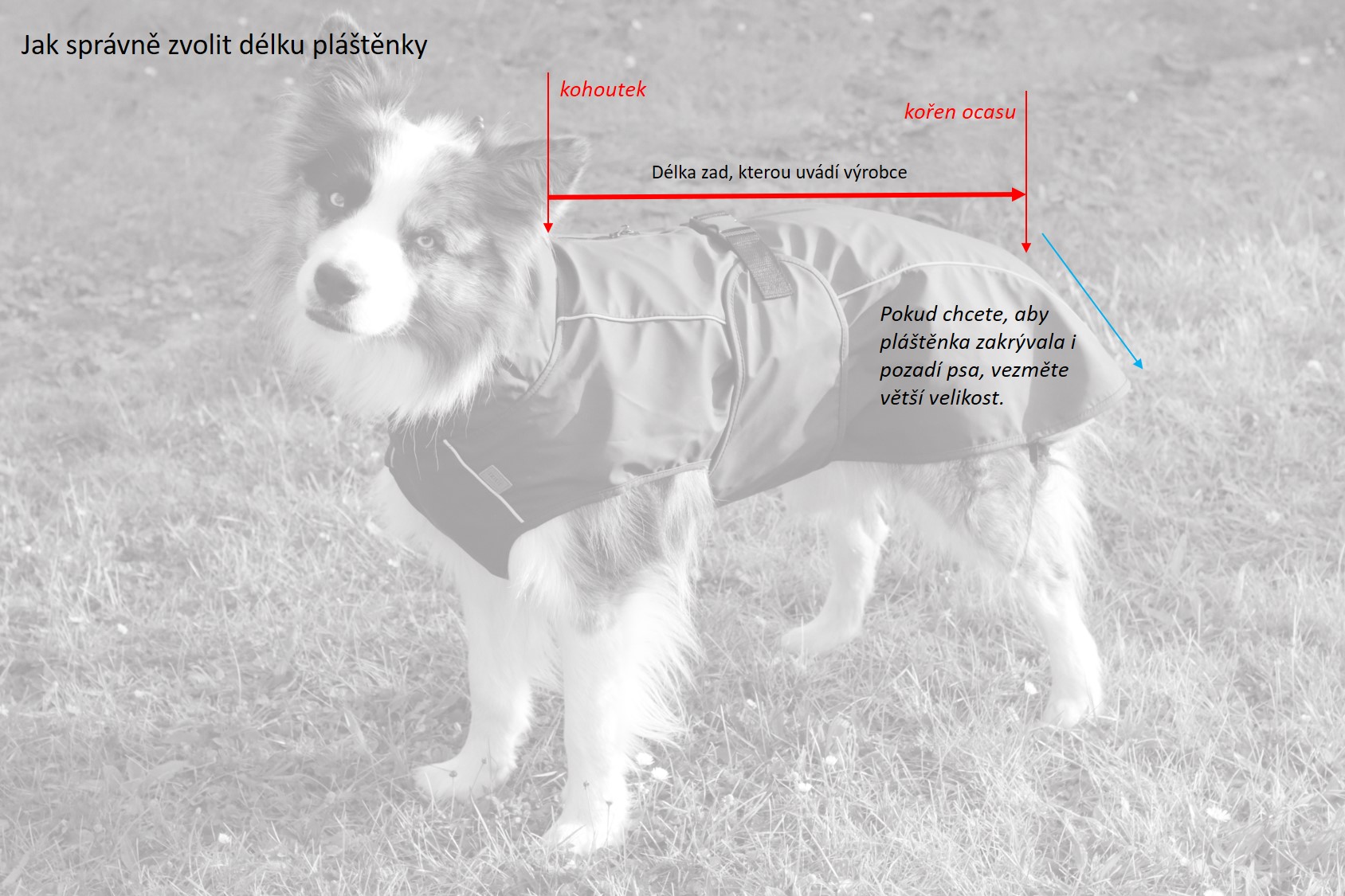 Trixie BE NORDIC pláštěnka HUSUM, M: 50 cm, tmavomodrá Obrázek