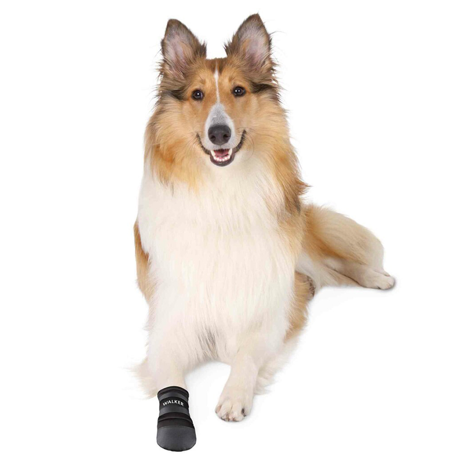 Botička ochranná Walker  neopren XL  2ks  Trixie Obrázek