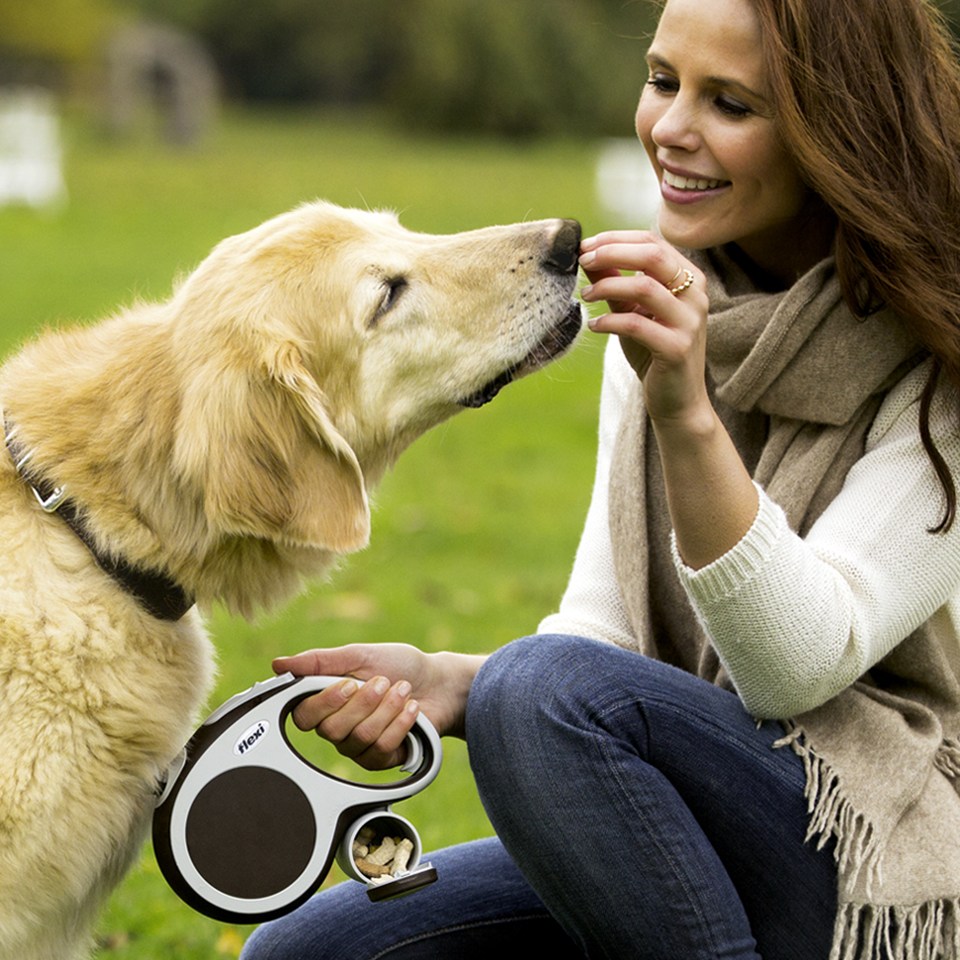 Multi-Box flexi na pamlsky/sáčky černá Obrázek