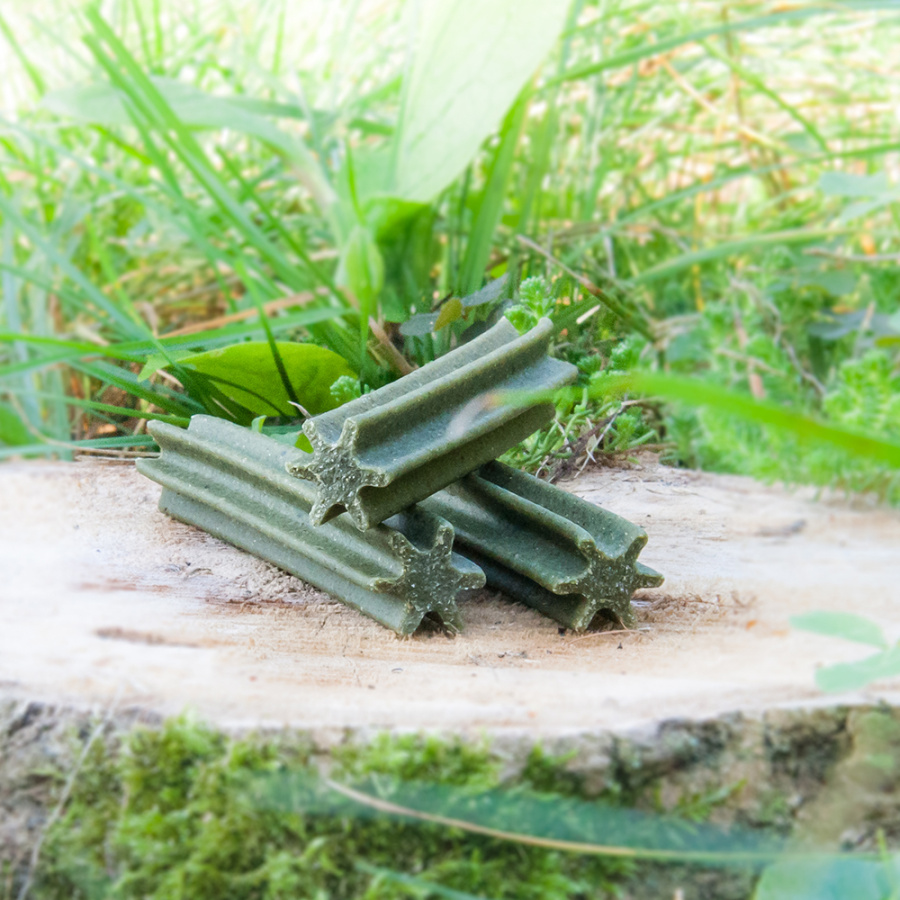 Akinu DENTASTAR Mini pro malé a střední psy 7ks Obrázek