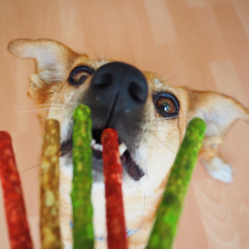 Akinu Tyčinky pamlsek pro psy vícebarevné žvýkací 12,5 cm 100 ks