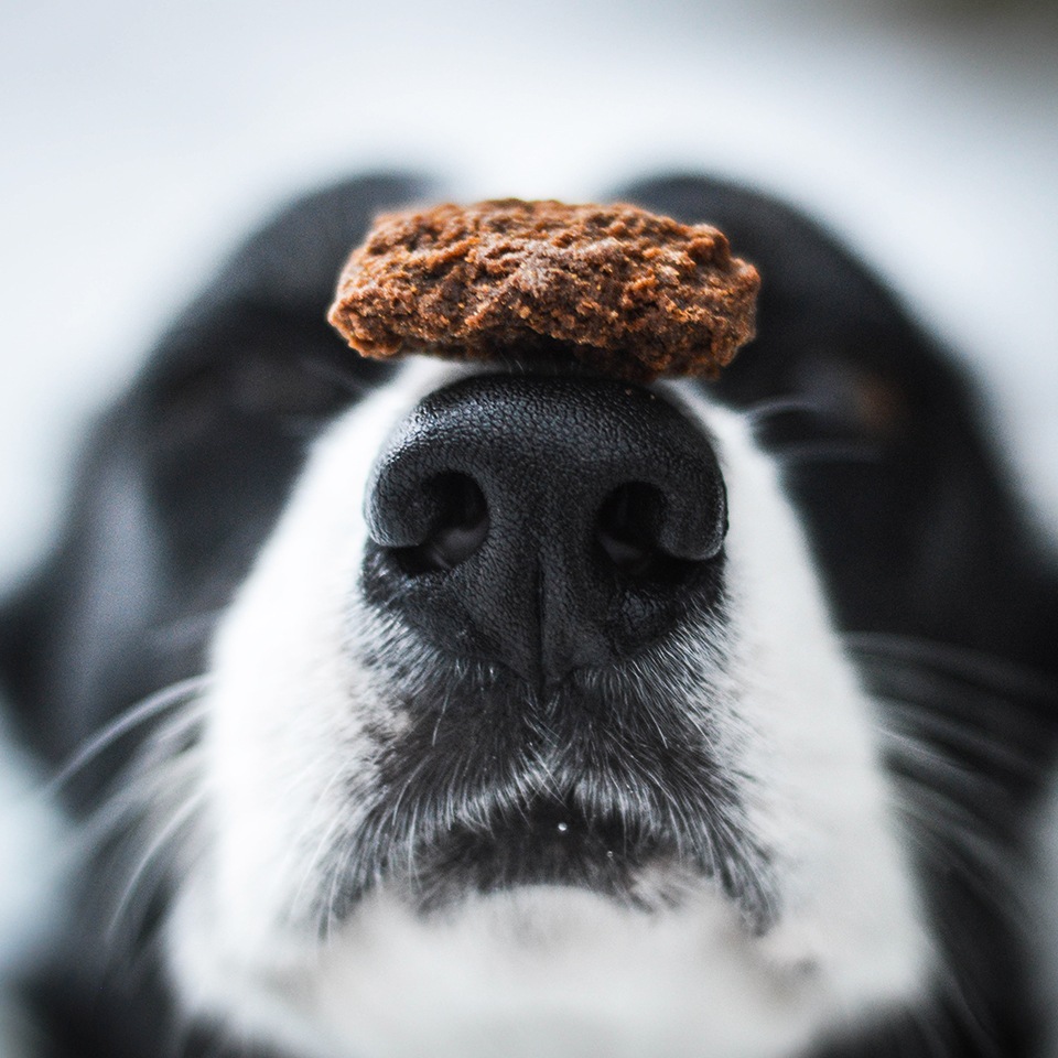 Akinu tlapky poloměkké 400g Obrázek