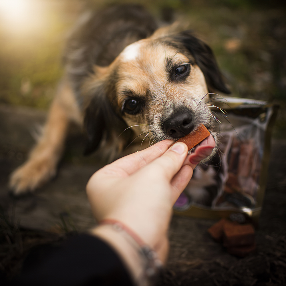 Akinu Masíčka králičí pásky pro psy 75g Obrázek