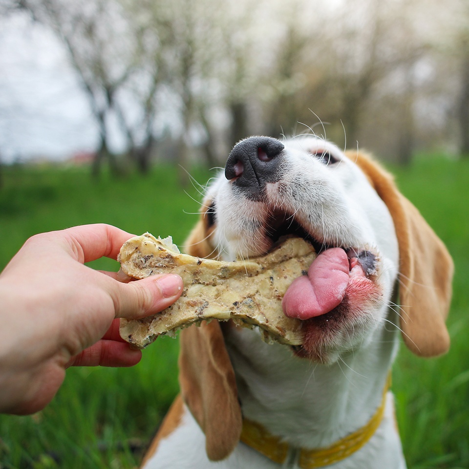 Akinu Natural kost s dršťkami 1ks Obrázek