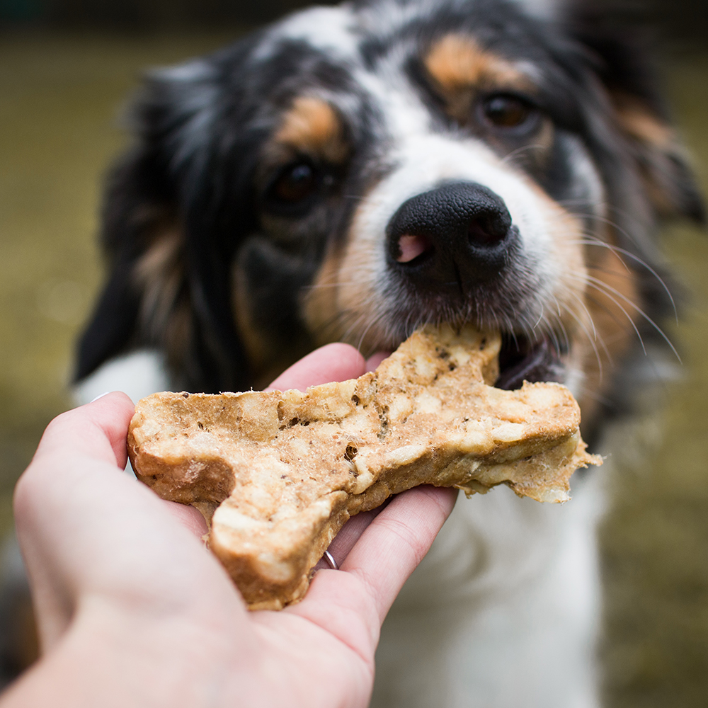 Akinu Natural kost s játry a L-carnitinem 1ks Obrázek