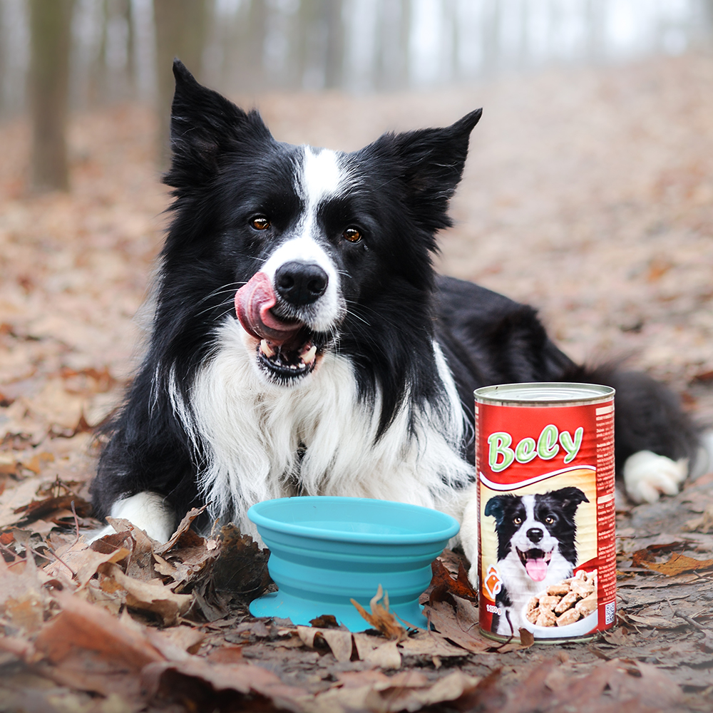 Bely 1250g kousky v omáčce s drůbežím pro psy Obrázek