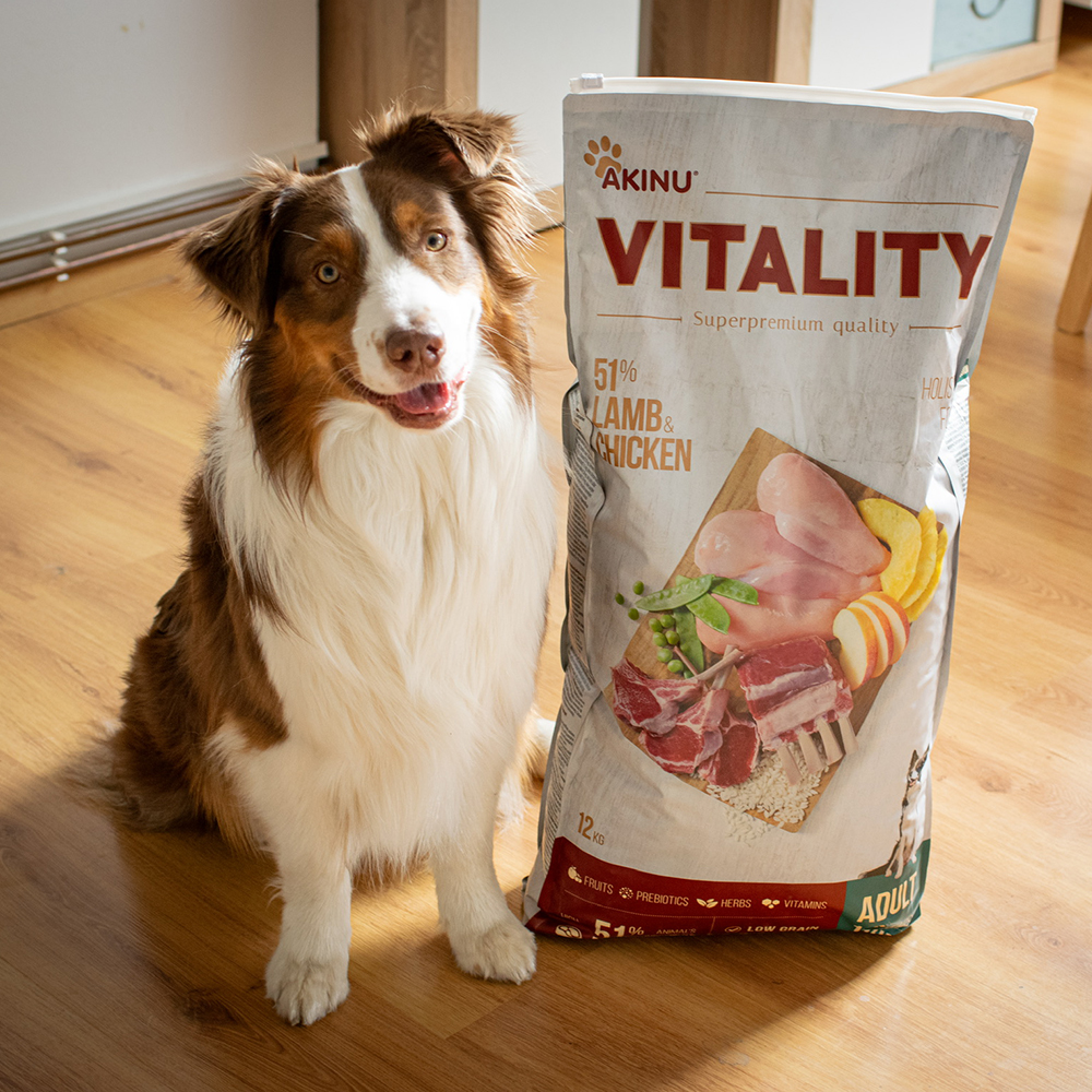 Akinu VITALITY dog adult medium lamb & chicken 12kg Obrázek