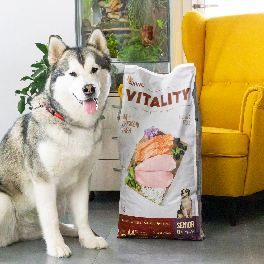 Akinu VITALITY dog senior medium/large chicken & fish 12kg Obrázek