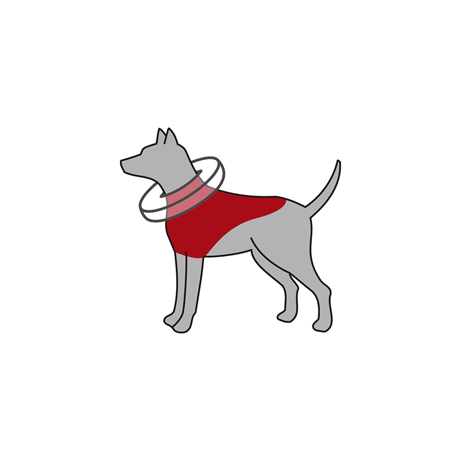 Trixie Ochranný nafuk.límec proti lízání a kousání ran M-L 45-57cm Obrázek