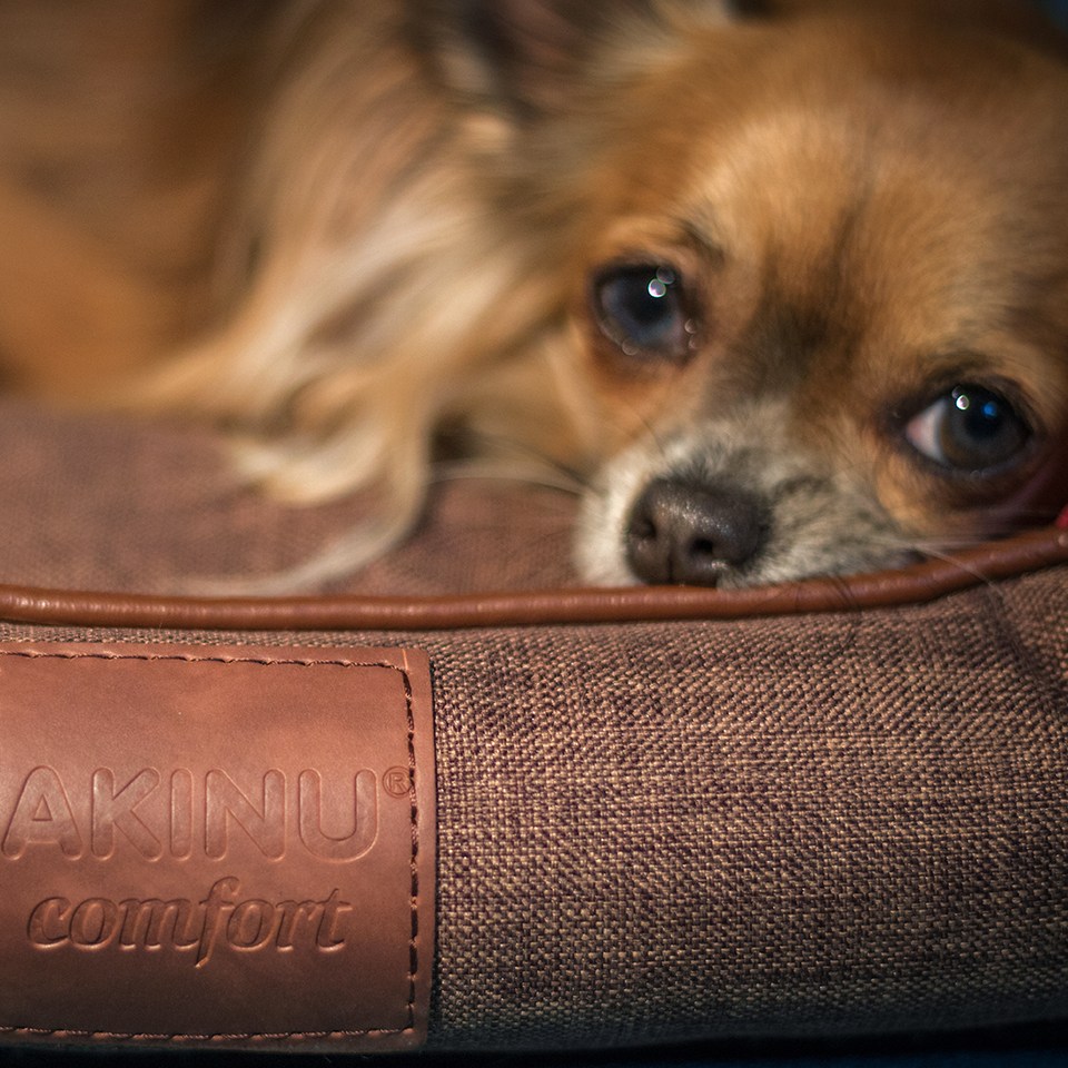 Akinu pelech CHESTER S 55x50x20 cm Barva: Červená Obrázek