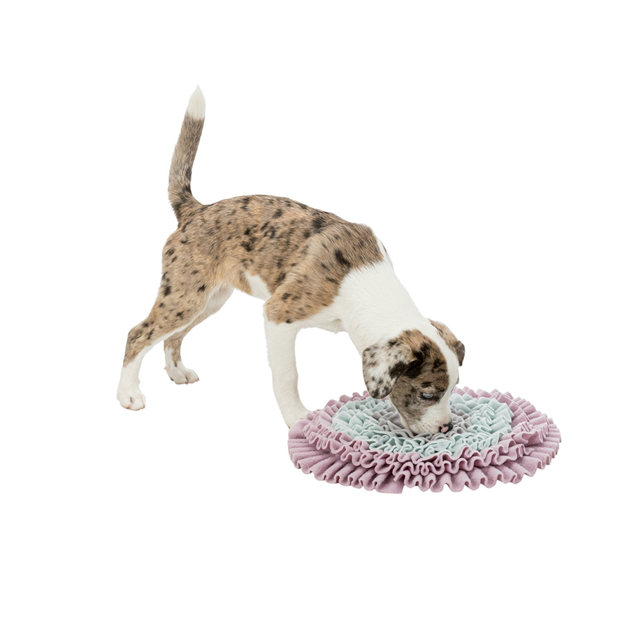 Trixie JUNIOR Dog Activity čichací koberec 38 cm Obrázek
