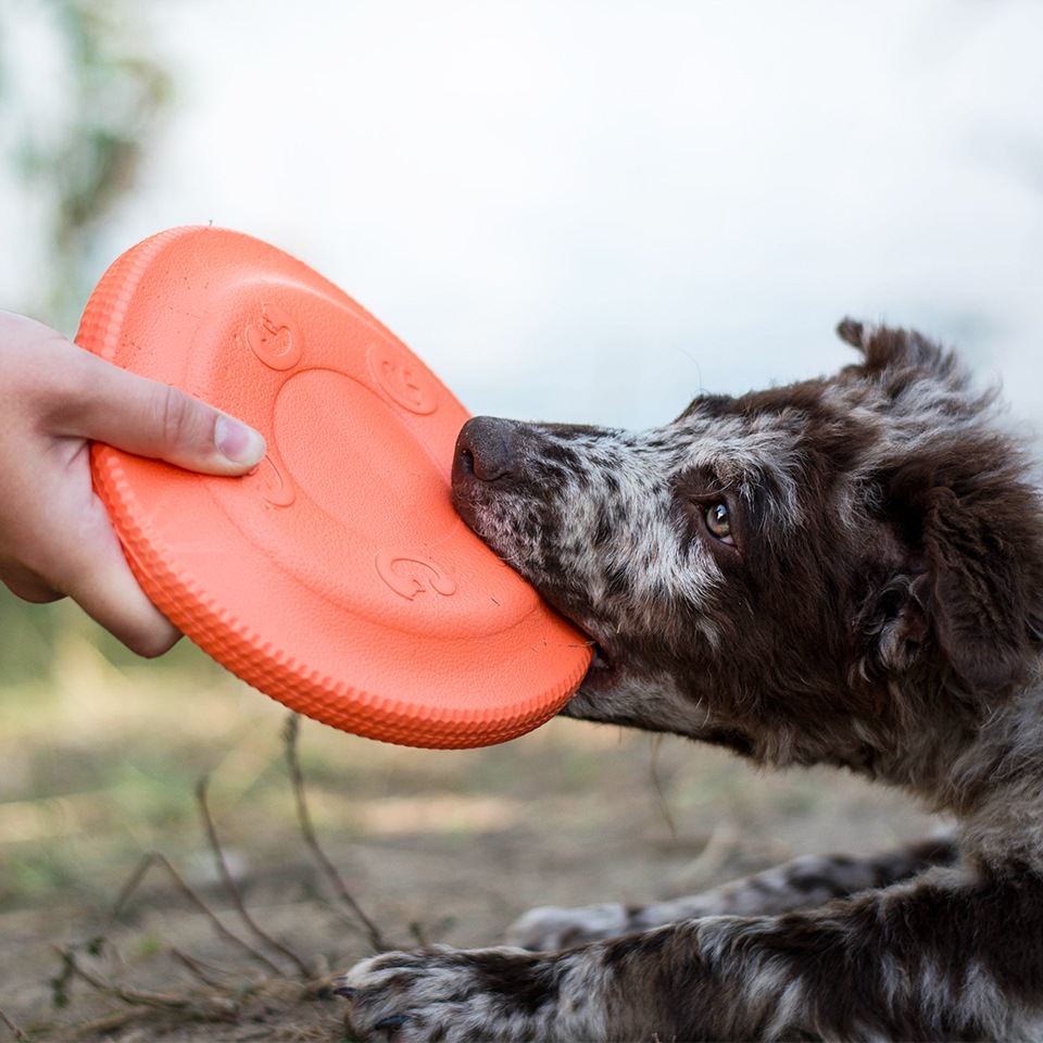 Akinu AQUA pěnové frisbee malé 17 cm Barva: Oranžová