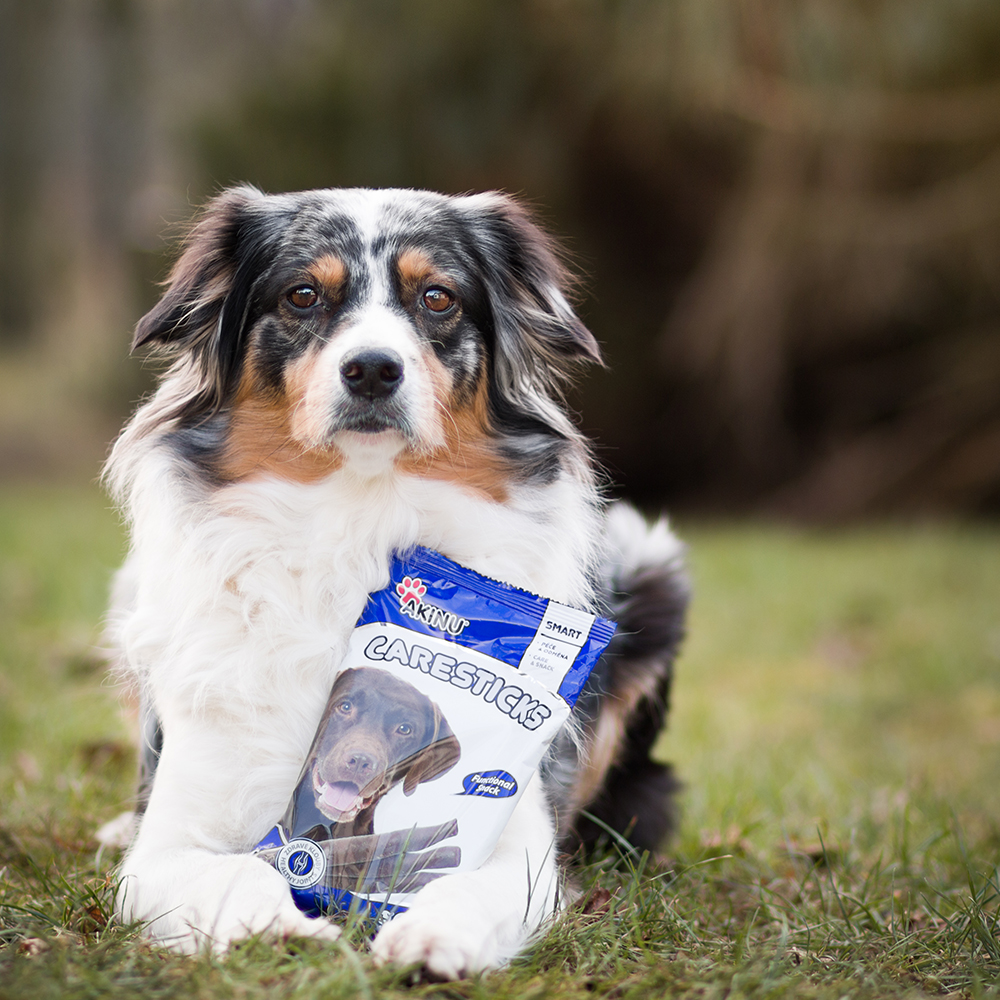 Akinu CARESTICKS tyčinky pro psy s glukosaminem 175 g Obrázek