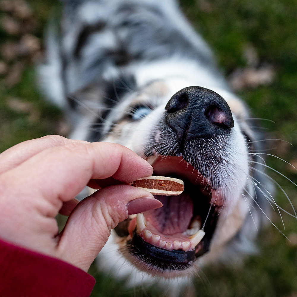 Akinu Flákota kuřecí sendvič s rybou pro psy 100 g Obrázek