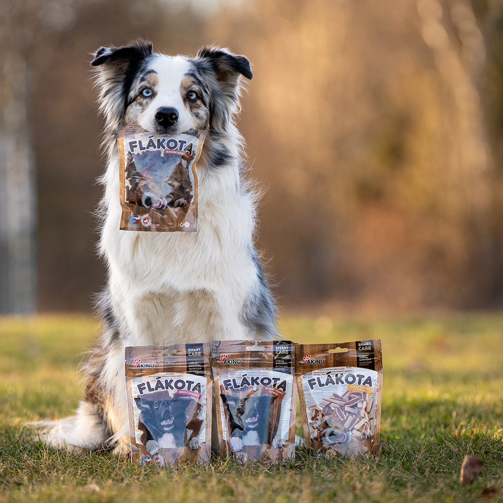 Akinu Flákota kachní kostičky pro psy 100 g Obrázek