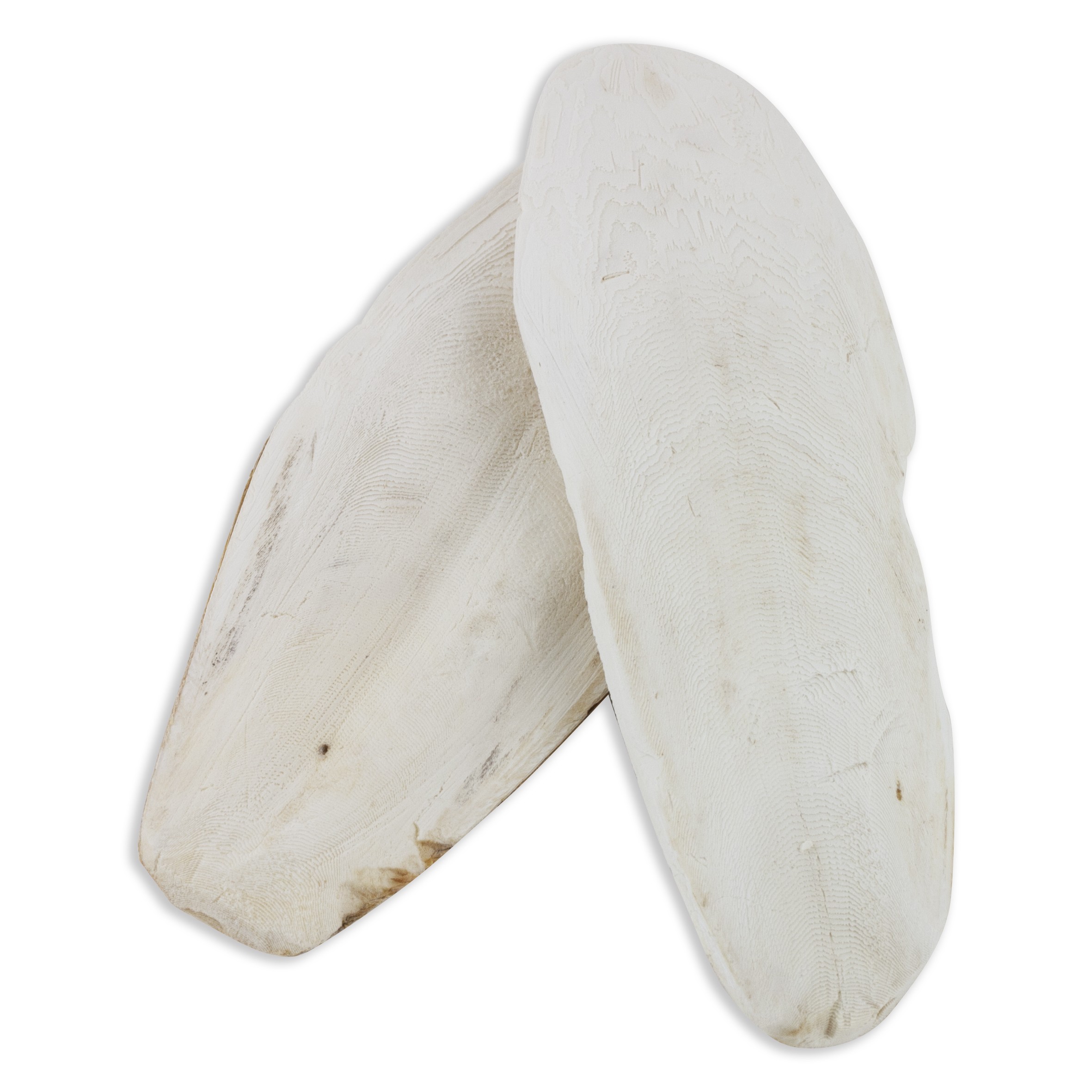Akinu Sépiová kost VOLNĚ (1kg) 25-30cm