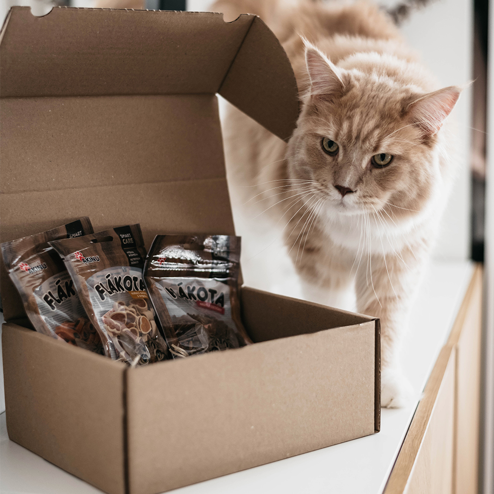 Akinu Flákota box pro kočky Obrázek