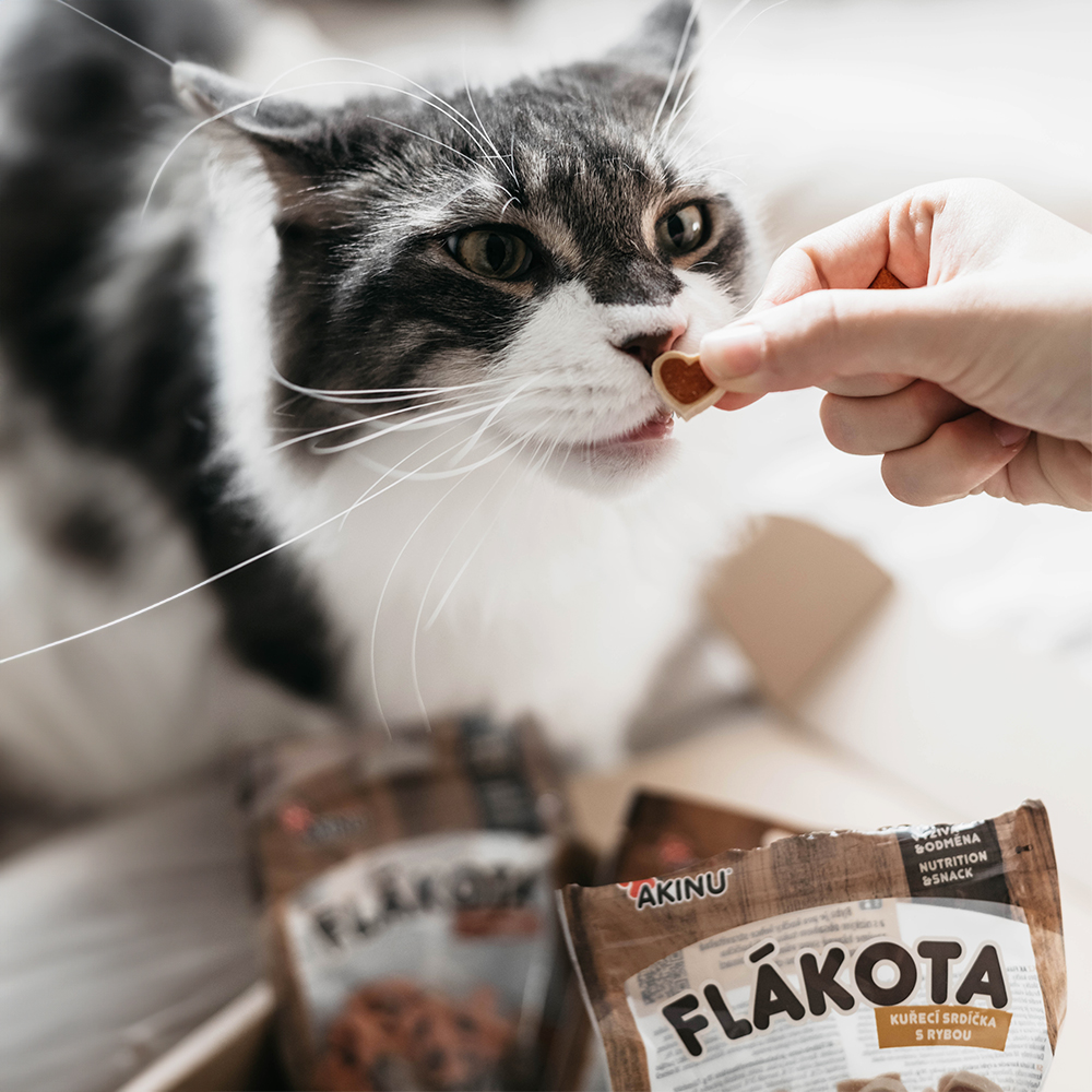 Akinu Flákota box pro kočky Obrázek