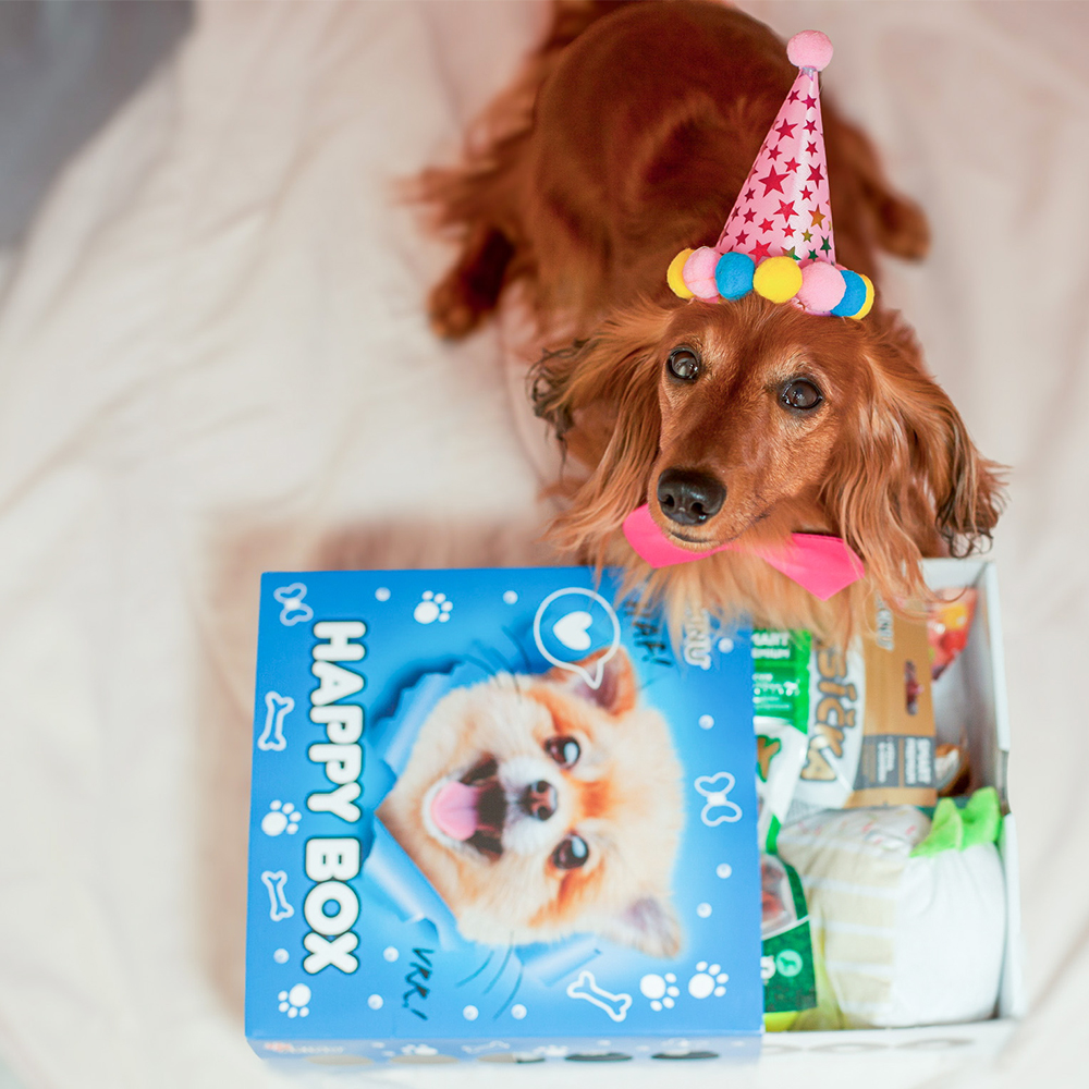 Akinu Happy box pro psa Obrázek